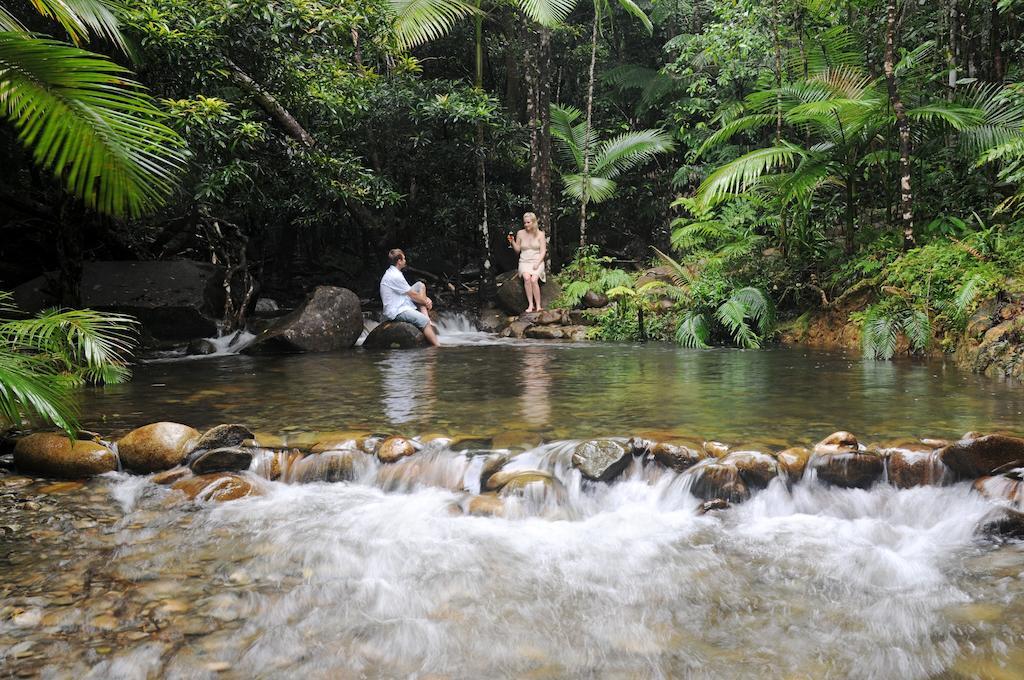 Daintree Cascades Villa Cape Tribulation Exteriör bild