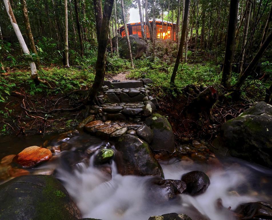 Daintree Cascades Villa Cape Tribulation Exteriör bild