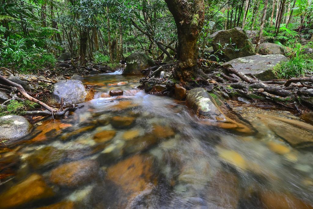 Daintree Cascades Villa Cape Tribulation Exteriör bild