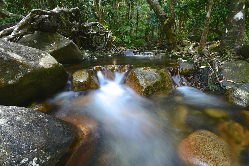Daintree Cascades Villa Cape Tribulation Exteriör bild