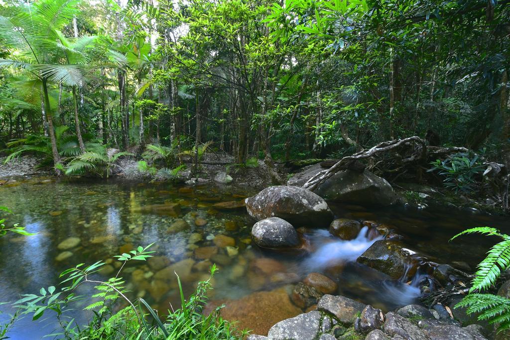 Daintree Cascades Villa Cape Tribulation Exteriör bild