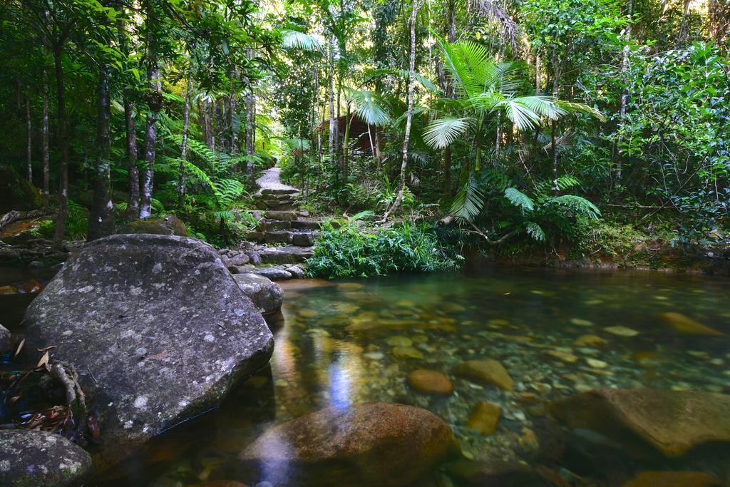 Daintree Cascades Villa Cape Tribulation Exteriör bild