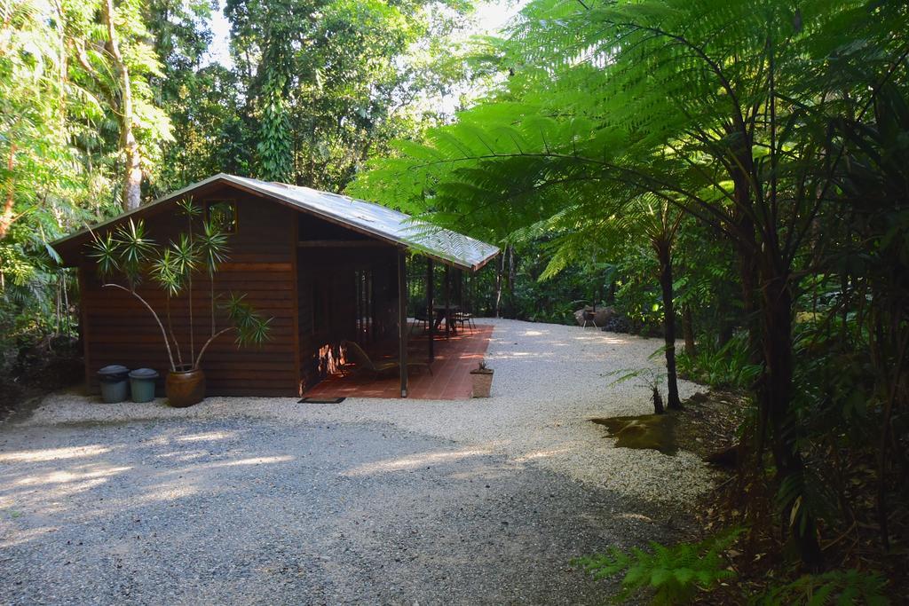 Daintree Cascades Villa Cape Tribulation Exteriör bild