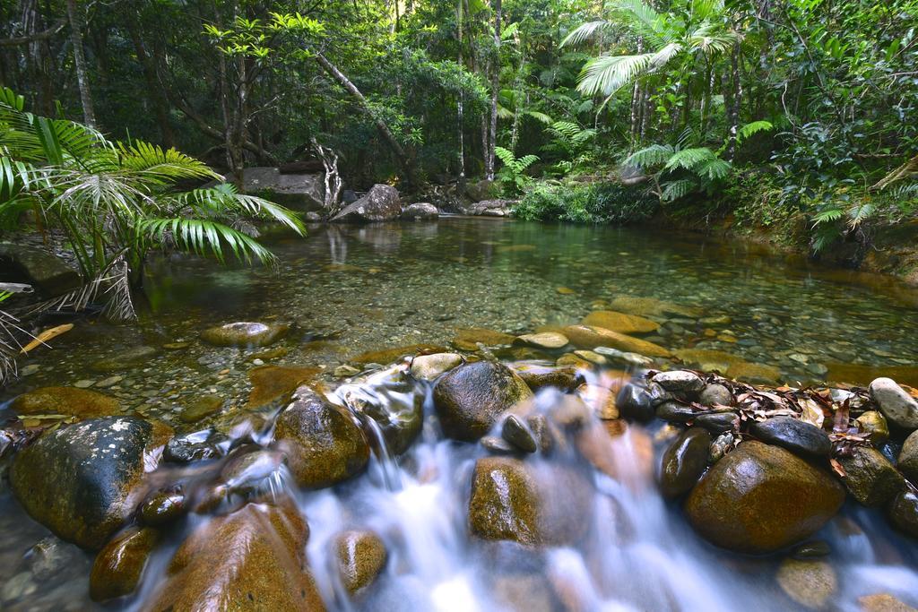 Daintree Cascades Villa Cape Tribulation Exteriör bild