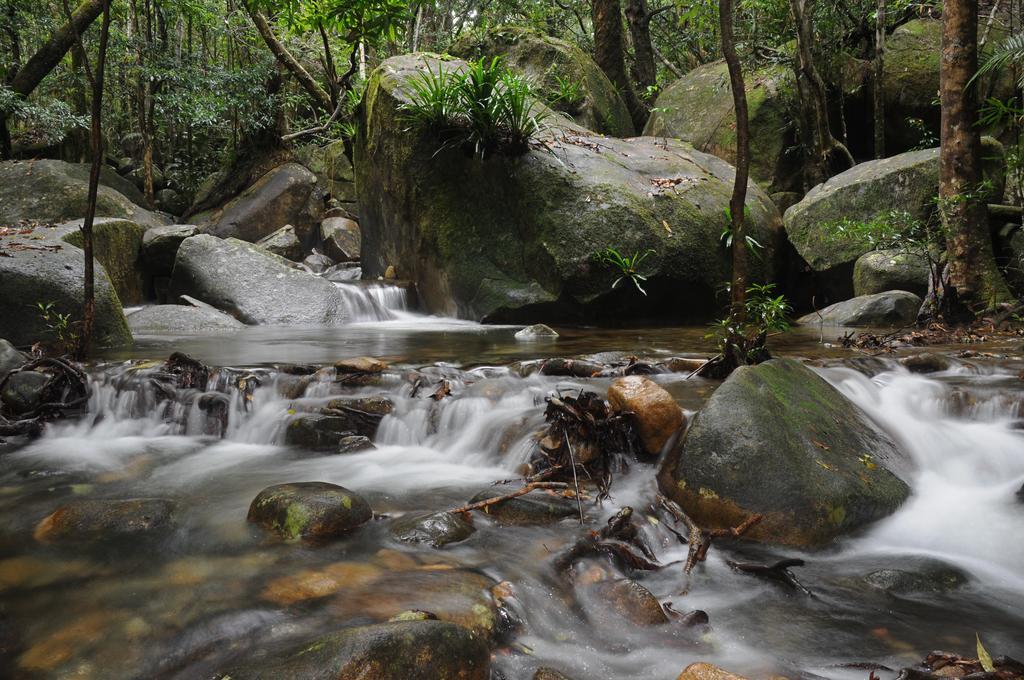 Daintree Cascades Villa Cape Tribulation Exteriör bild