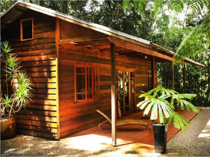 Daintree Cascades Villa Cape Tribulation Exteriör bild